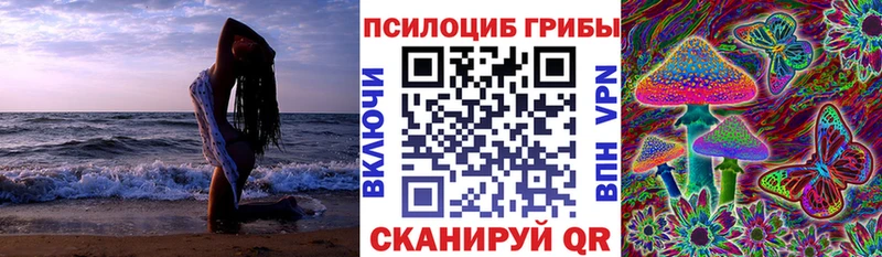 Псилоцибиновые грибы мухоморы  Бердск 