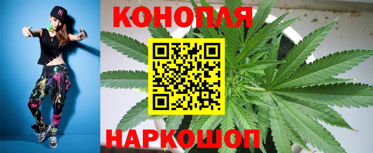 Бошки Шишки планчик  Вход с VPN  Бердск  Каннабис марихуана  Бошки марихуана OG Kush 